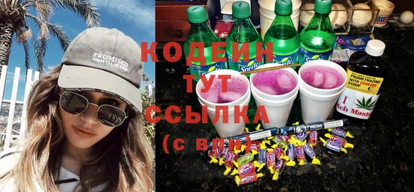 крисы Абаза