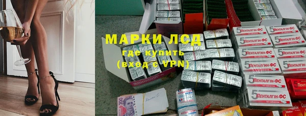 крисы Абаза