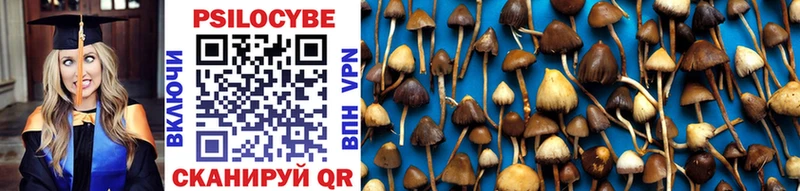 продажа наркотиков  Ухта  Галлюциногенные грибы Psilocybine cubensis 