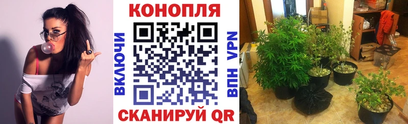 Бошки Шишки SATIVA & INDICA  Ухта 